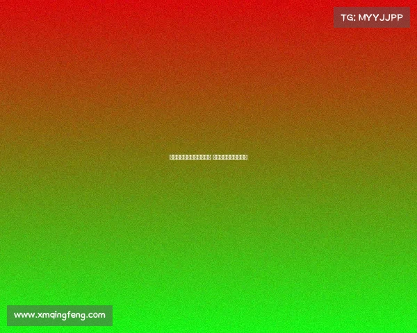 荷兰大臣宣称将与中方会面 但仍试图回避关键问题