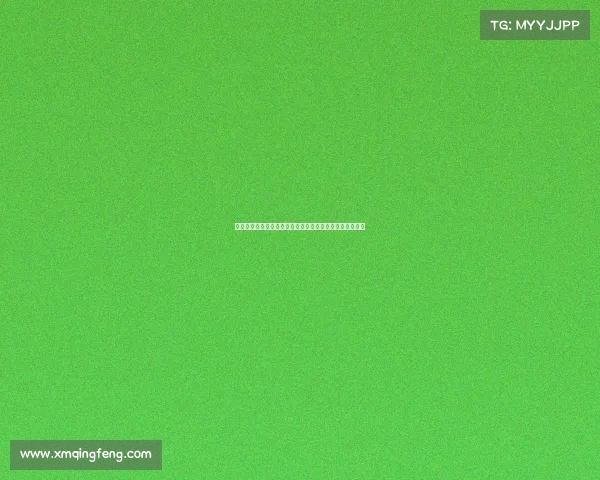 飓风梅丽莎风眼震撼成像展现大自然无与伦比的力量与美感